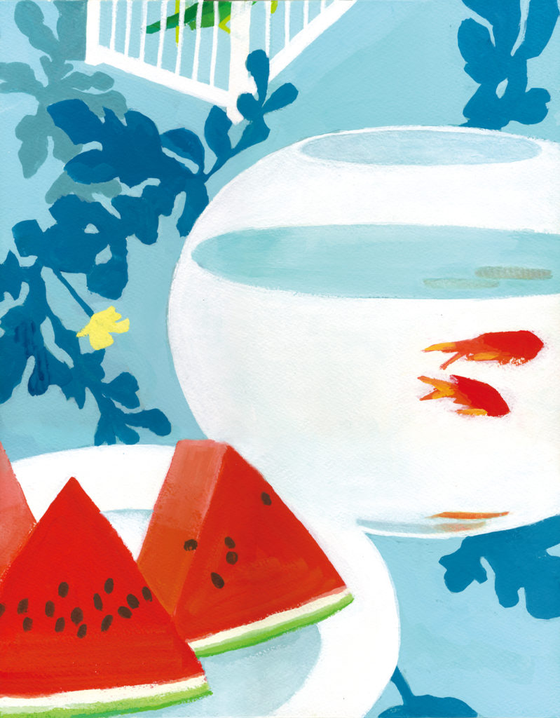watermelon, goldfish, summer