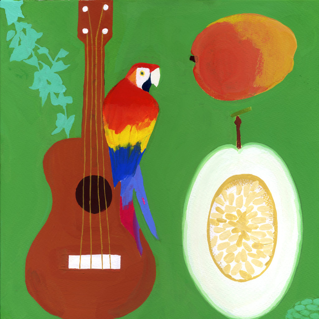 mango, parrot, guitar, summer